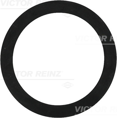 VICTOR REINZ Dichtring 407739200 für Fiat Ford