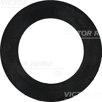 VICTOR REINZ Dichtring 407740800 für VAG Mercedes