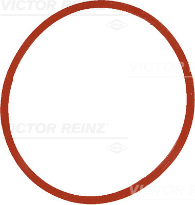 VICTOR REINZ Dichtung, Ansaugkrümmer 407753400 für BMW