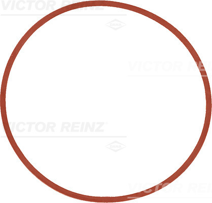 VICTOR REINZ Dichtung, Ansaugkrümmer 407753500 für BMW