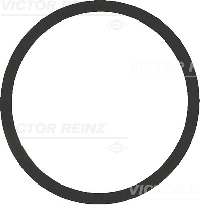 VICTOR REINZ Dichtung, Ansaugkrümmer 407754200 für VAG