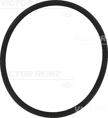 VICTOR REINZ Dichtung, Ansaugkrümmer 407755700 für Skoda