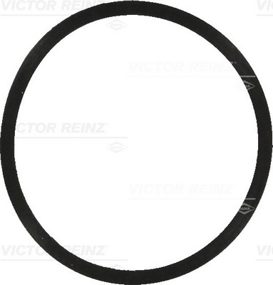 VICTOR REINZ Dichtung, Ansaugkrümmer 407757000 für VAG