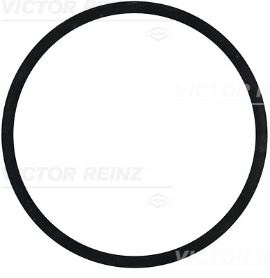 VICTOR REINZ Dichtring 408318500