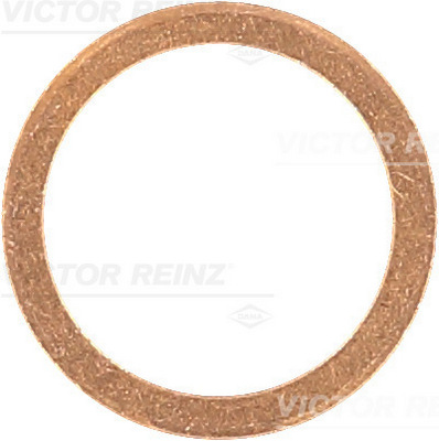 VICTOR REINZ Dichtring 417019100