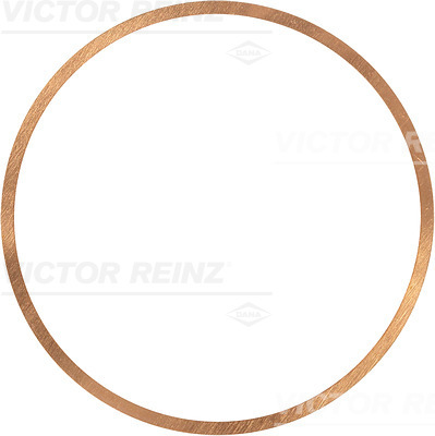 VICTOR REINZ Dichtung, Zylinderkopf 417056410 für MWM RENAULT
