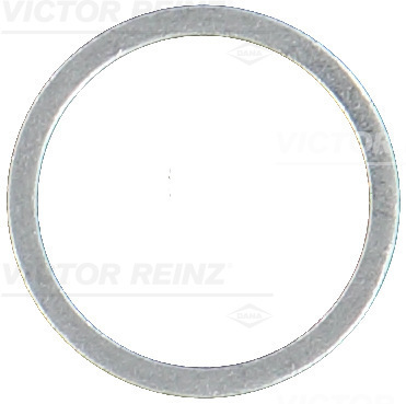 VICTOR REINZ Dichtring 417108100