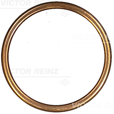 VICTOR REINZ Dichtring 417208130