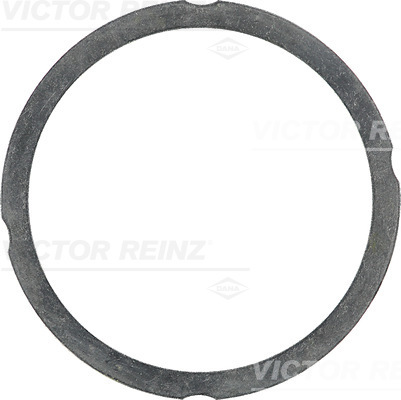 VICTOR REINZ Dichtung, Zylinderkopf 612547560