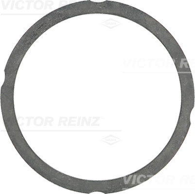 VICTOR REINZ Dichtung, Zylinderkopf 612547570