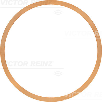 VICTOR REINZ Dichtung, Zylinderkopf 614251500