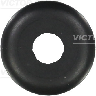VICTOR REINZ Dichtring, Ventilschaft 702448400