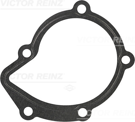 VICTOR REINZ Dichtung, Wasserpumpe 702592030