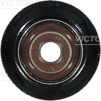 VICTOR REINZ Dichtring, Ventilschaft 703686600 für BMW