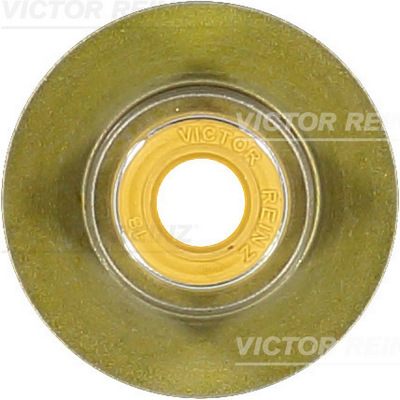 VICTOR REINZ Dichtring, Ventilschaft 704033600 für DAF Iveco DODGE