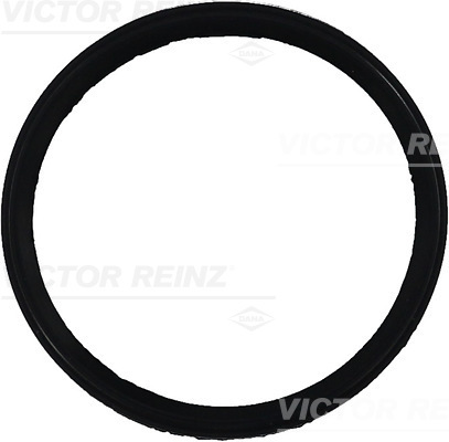 VICTOR REINZ Dichtung, Ansaugkrümmer 713524900 für Peugeot