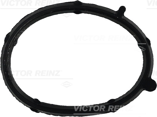 VICTOR REINZ Dichtung, Ansaugkrümmer 713568100 für Fiat