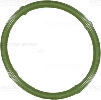 VICTOR REINZ Dichtung, Ansaugkrümmer 713606600 für VAG