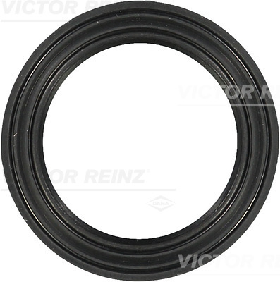 VICTOR REINZ Dichtung, Kerzenschaft 713734100 für BMW