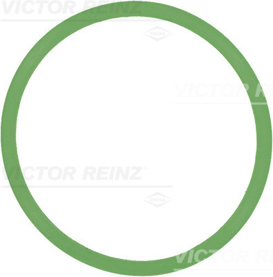 VICTOR REINZ Dichtung, Ansaugkrümmer 713759900 für VAG