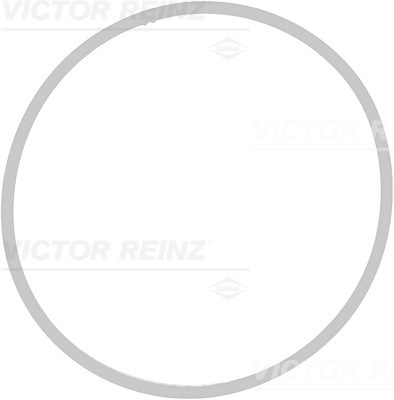 VICTOR REINZ Dichtung, Ansaugkrümmer 713940900 für BMW