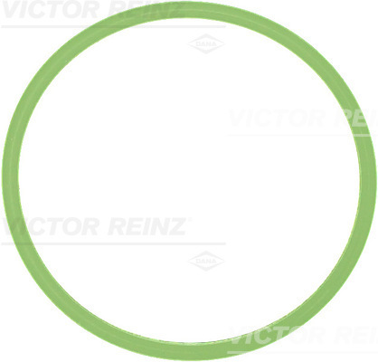 VICTOR REINZ Dichtung, Ansaugkrümmer 714052200 für VAG Porsche