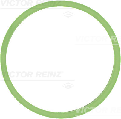 VICTOR REINZ Dichtung, Ansaugkrümmer 714053100 für VAG
