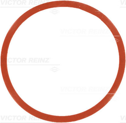VICTOR REINZ Dichtung, Ansaugkrümmergehäuse 717754600 für BMW LAND ROVER