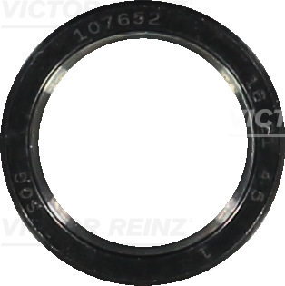 VICTOR REINZ Wellendichtring, Nockenwelle 813591300