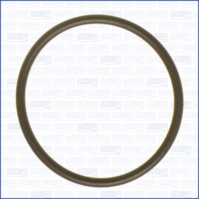 AJUSA Dichtring, Thermostatgehäuse 16026900 für Audi