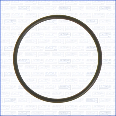 AJUSA Dichtung, Wasserpumpe 16054100 für Ford Volvo MAZDA