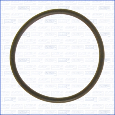 AJUSA Dichtung, Thermostat 16073300 für Ford Mercedes JEEP BMW