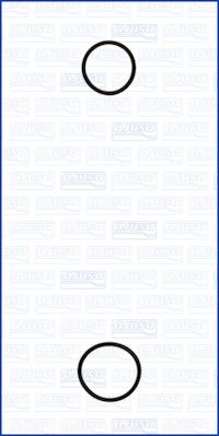 AJUSA Dichtungssatz, Wasserpumpe 77001900 für DACIA NISSAN