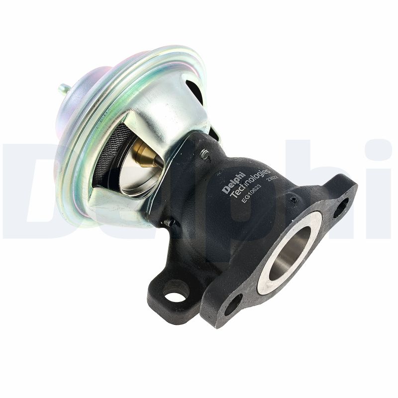 DELPHI AGR-Ventil eg1062312b1 für Citroën Fiat