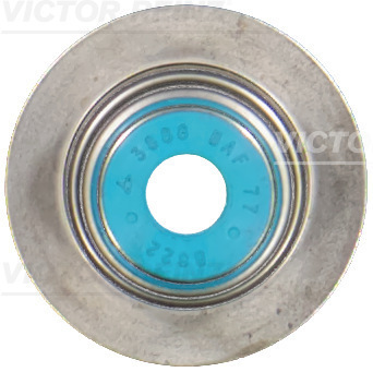 VICTOR REINZ Dichtring, Ventilschaft 701943200