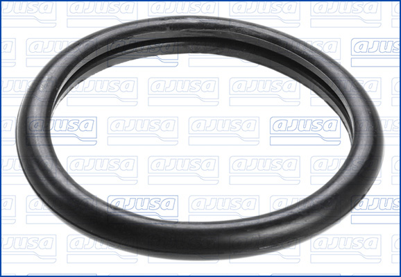 AJUSA Dichtung, Thermostat 00538100 für Ford